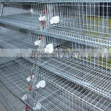 china new design best selling commercial quail cages