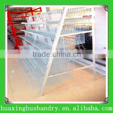 china new design best selling quail cages and equipment