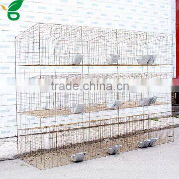 Rabbit Cage Design With Feeder and Drinker photo-3