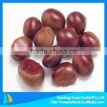 New Chesnut 2014 New crop fresh Dandong chestnut