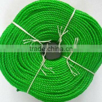 Twisted Plastic Rope