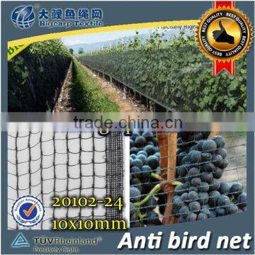 Wine grapes net , 10x10mm , 24 GSM / 20102-24