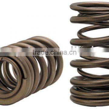 Valve spring