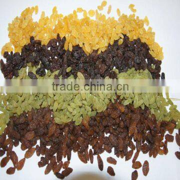 Washed 2013 new sultanas raisin good quality