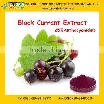 New product Anthocyanidin from Black Currant Extract Powder
