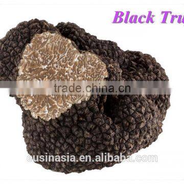 big sizes of fresh black truffle