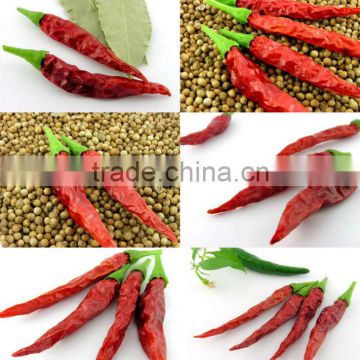 FDA,ISO,KOSHER,HACCP ,dehydrated chilli powder /dried chilli powder /red pepper powder