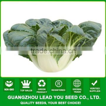 MCC01 Heimei hot sale chinese cabbage seeds, chinese vegetable seeds