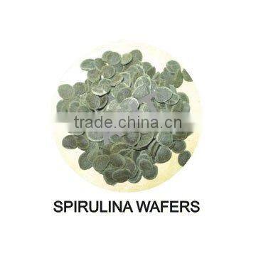 Pellet Fish Food for Aquarium Fish photo-5