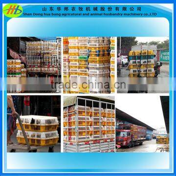 Poultry Farming Equipment Transport Baskets on Sale photo-4