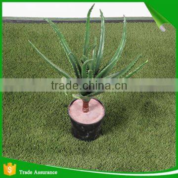 Potted Artificial Mini Succulent Plant for Decoration photo-4