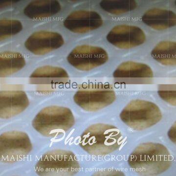 24mm Hole Size Extruded Mesh photo-3