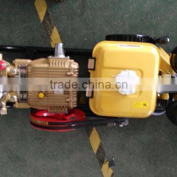 Kerosene Power Sprayer Diesel Power Sprayer photo-2