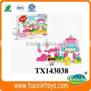 Big Plastic Building Block (100pcs) Intelligent Toys photo-4