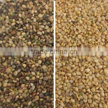 Excellent Quality and Good After-sale Soybean Slices Color Sorter photo-2