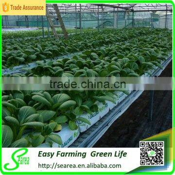 Commercial Polycarbonatge Hydroponics Greenhouse Shade Green House Design photo-3