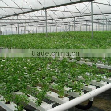 Strawberry Vertical NFT Hydroponic System