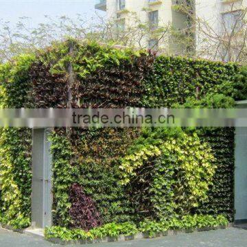 factory price new designed high quality artificial plant wall/plastic garden walls vertical wall garden