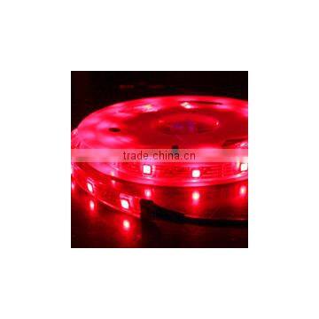 Waterproof IP68 led strip light 5050 12v, outdoor colourful led strip