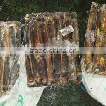 Frozen Illex Squid From CHINA 200-300G photo-4