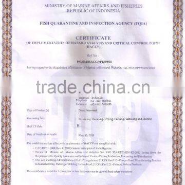 Gracilaria Seaweed photo-6