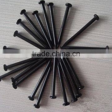 Black Concrete Nail, Mushroom Head Concrete Nail for Guangzhou Supplier photo-3