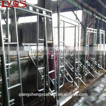 Walk Through Scaffolding Frames for Construction photo-4