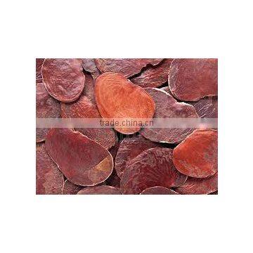 Butea Monosperma photo-3