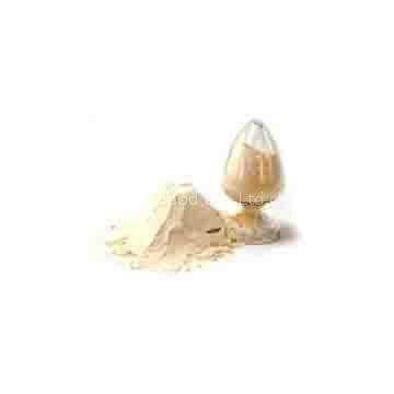 Isolated Soy Protein ( ISP )