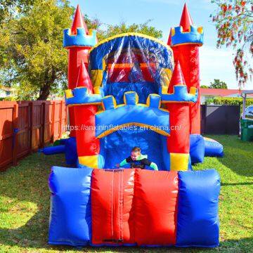 Customized Inflatable Royal Bouncy Castle With Slide for Sale photo-5