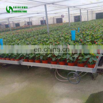 Aluminium Garden Benches Rose Flower Planters For Greenhouse