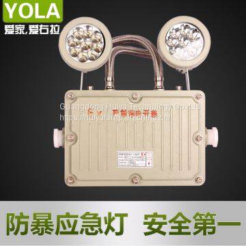 Hot Sale Waterproof Emergency Lamp LED Explosion-proof Light Outdoor Lighting photo-5