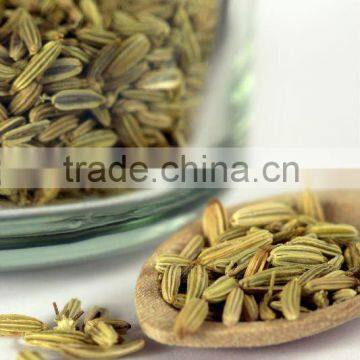 Fennel Seed