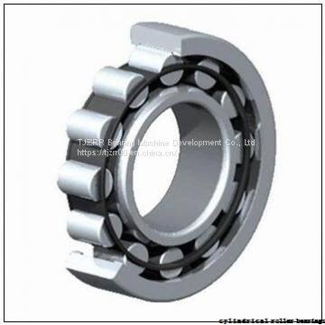 Fersa F19035 Cylindrical Roller Bearings