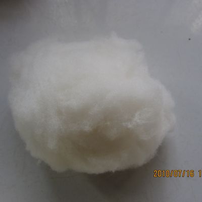 Natural Wool Fiber Merino Lambs For Sale  Factory Price