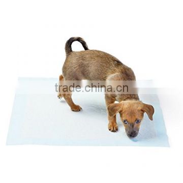 puppy wee wee pad training security dog training dog training devices