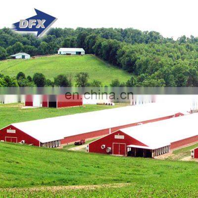 Qingdao Fabricated Steel Frame Poultry Farm House Business Plan Building for Chicken Shed photo-3
