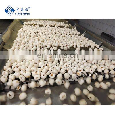 IQF Organic Lychee Fruit Frozen Pitted Lychee Meat Peeled Litchi photo-5
