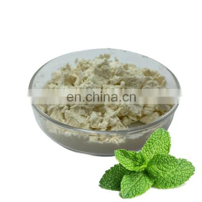 Mint extract powder High Quality peppermint extract powder