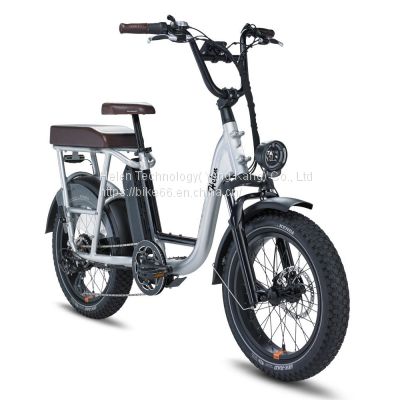 1000W big power Electric Folding Bike Electric Bicycles