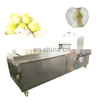 Factory China Date Apple Peach Apricot Quince Oli Pitter photo-3