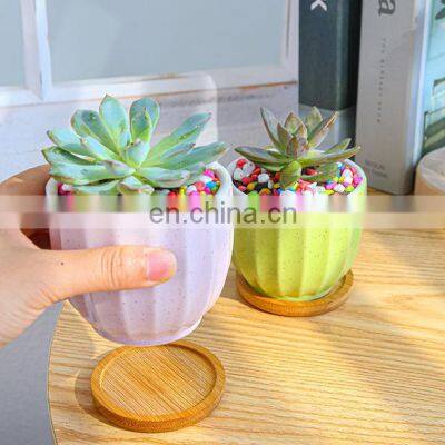 Amazon Garden Creative Succulent Flower Pot Macaron Potted Combination Ceramic Color Flower Pot