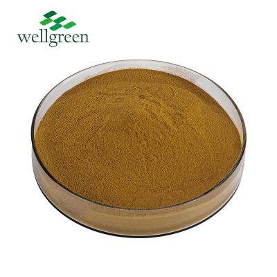 Wellgreen Factory Supply Natural Extract Bladderwrack Extract 10: 1