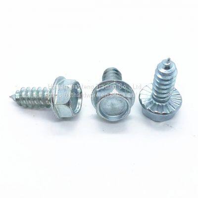 Hex Flange Head Self Tapping Screw Hex Washer Head With/without Serrations Under Head photo-3