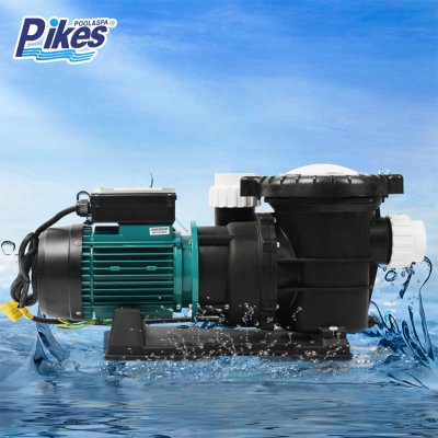 Pikes Big Power Flow Rate Pump PP Stainless Steel Material Long Running Time High Quality Circulation Pool Pump