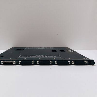 Triconex 4119A Enhanced Intelligent Module photo-2