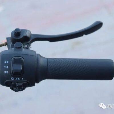 500w 650w Oem China Cheap 3 Wheel Electric Cargo Truck Electric Cargo Tricycle photo-4