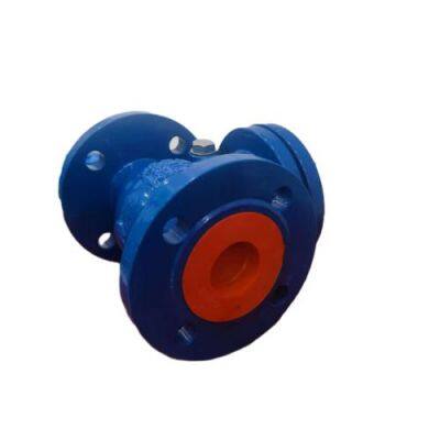 DIN PN16 Duction Cast Iron Body Flang Swing Non Return Check Valve photo-5