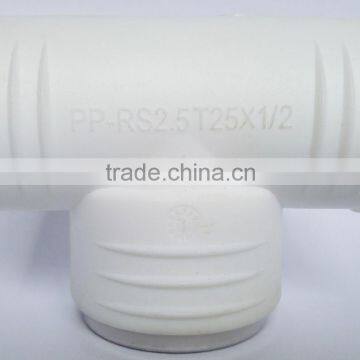 Plastic PPR Pipe Fitting