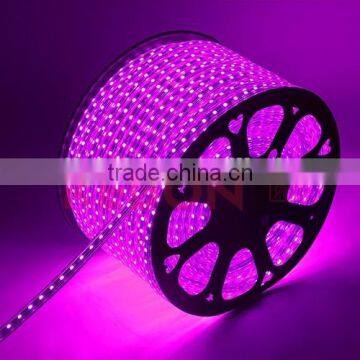 Promotion packing and waterproof 5050 purple LED strip 220V high voltage